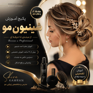 پکیج آموزش شینیون مو